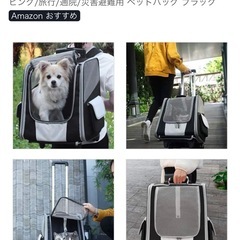犬猫用　ペットキャリーバッグの画像