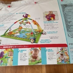 ラインフォレスト・デラックスジムIIの画像