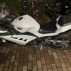 ninja 250
の画像
