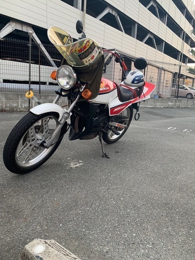ホンダ HONDA MBX50F