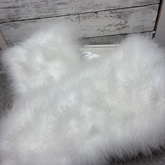 草履とバックとショール
の画像