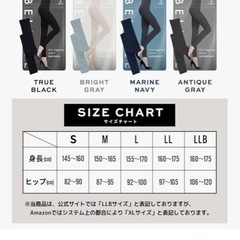 BELMISE  【BRIGHT GRAY】　Mサイズセットの画像