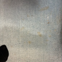 一畳カーペットの画像