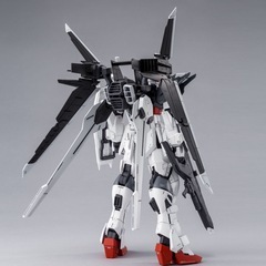 【プレバン限定】　MG ガンダムエクスインパルスの画像