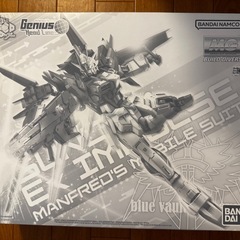 【プレバン限定】　MG ガンダムエクスインパルスの画像
