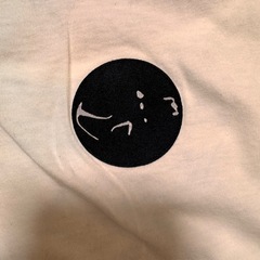 ヒフミヨ　Tシャツ　2枚セット　堂本剛の画像