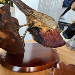 【豪華セット】剥製3体&木彫り1体の画像