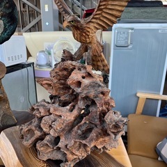 【豪華セット】剥製3体&木彫り1体の画像