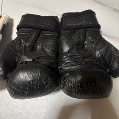 キックボクシング用グローブ
の画像