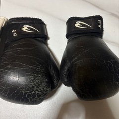 キックボクシング用グローブ
の画像