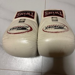 キックボクシング用グローブ
の画像