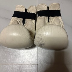 キックボクシング用グローブ
の画像