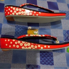 花柄　草履　女性用　レディースの画像