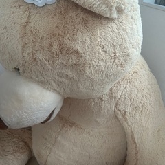 【レア】COSTCO クマ　ぬいぐるみ　93インチの画像