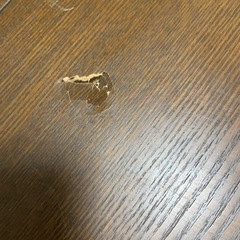 こたつ差し上げます
の画像