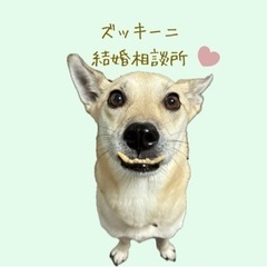 異性と話すのが苦手、恋愛経験が少ない、婚活に疲れた方、とに…