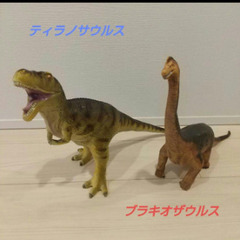 博物館の恐竜フィギュアの画像