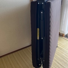ニトリ　シングル折りたたみベッドの画像