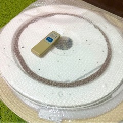 お取引決定💡【無料おゆずり】SANYO 照明本体 + リモコン SLR-220 セットの画像