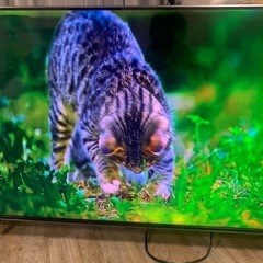 50インチテレビ　50nano85jpaの画像