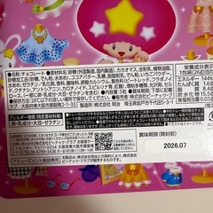 非売品★ツインクル缶バッグ付チョコレート2個
の画像