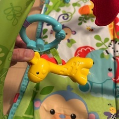 フィッシャープライズの画像