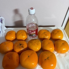 柿12個①の画像