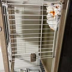 ペット　　レギュラー　サイズの画像