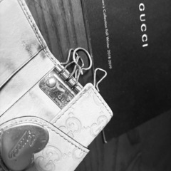 GUCCIケースの画像