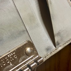 GUCCIケースの画像