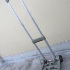 🍊キャリーカートの画像