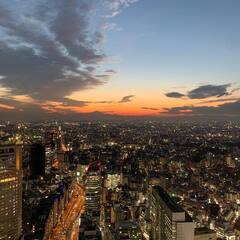 独身で、一人の時は寂しいので、長く一緒に過ごせる友達を探し…