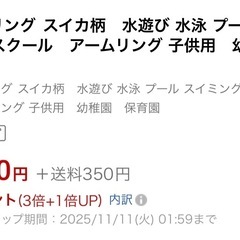 アームリング スイカ プール 浮き輪の画像