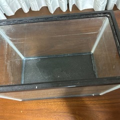 金魚鉢 水槽 メダカの画像