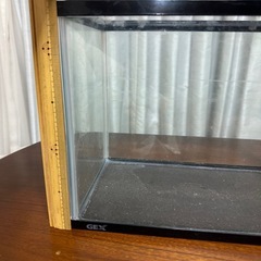 金魚鉢 水槽 メダカの画像