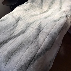 シングルサイズ毛布2枚　色違い
の画像