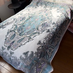 シングルサイズ毛布2枚　色違い
の画像