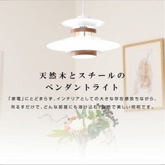 ペンダントライト 1灯 照明 照明器具 北欧の画像