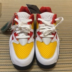 Supreme × Nike Air Cross Trainer 3 Low 27cmの画像