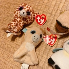ty ぬいぐるみ ハッピーセットの画像