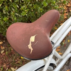 California Style ビーチクルーザーの画像