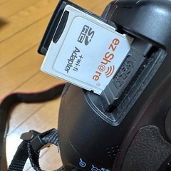 初心者 一眼レフカメラ Canon EOSの画像