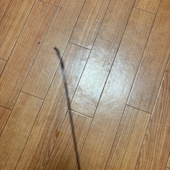 Daiwa 振り出し竿　　　
の画像