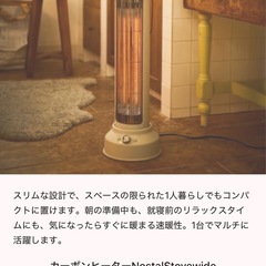 可愛いブルーノヒーター 箱ありの画像