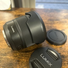 LUMIX G VARIO 12-60mm/F3.5-5.6 ASPH./POWER O.I.S. の画像