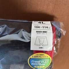 ヘインズのボクサーブリーフ　４Ｌ　５つ入りの4つ　新品未使用の画像