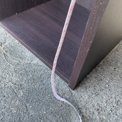 カラーボックス（茶）の画像