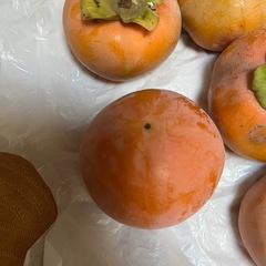 家の庭で取れた甘柿10個の画像