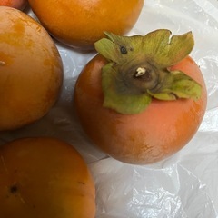 家の庭で取れた甘柿10個の画像