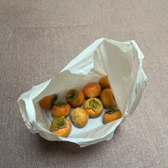 家の庭で取れた甘柿10個の画像